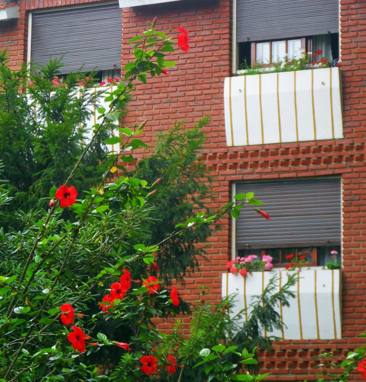 Hotel Eo Park San Clemente del Tuyu Exterior photo